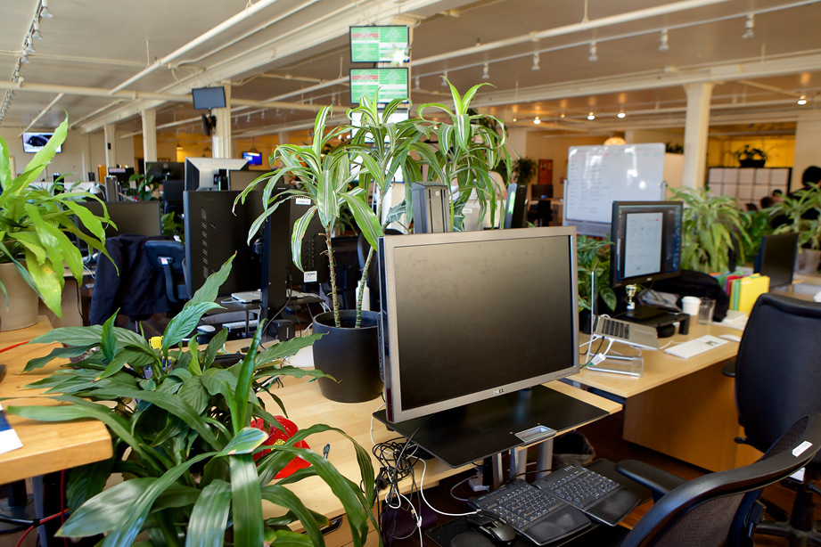 50人以下辦公室設計效果圖10