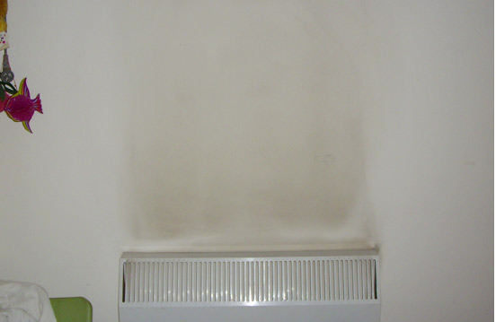 辦公室墻面養(yǎng)護、保護