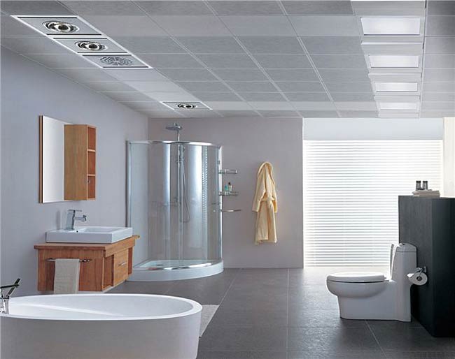衛生間吊頂效果圖