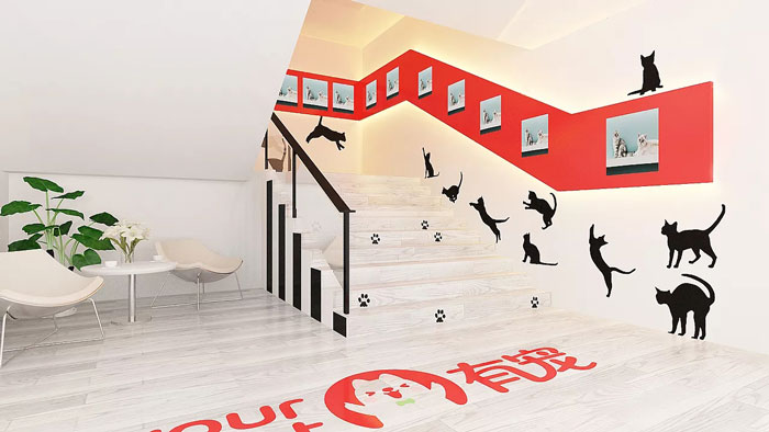 寵物公司辦公室進門區裝修設計效果圖